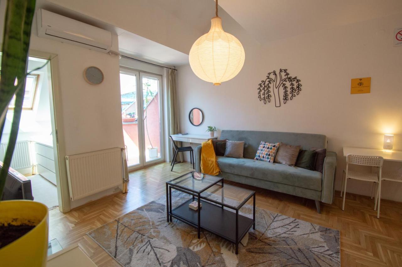 Spacious 1-Bedroom Apartment Novi Sad Exteriér fotografie